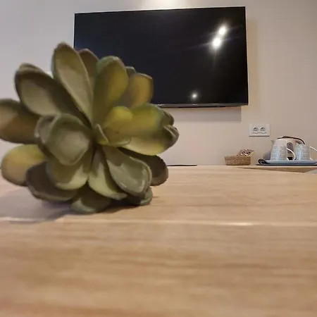 And Antea Gæstehus Rovinj