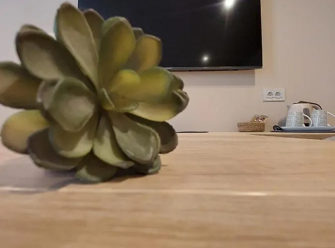 And Antea Guest house Rovinj